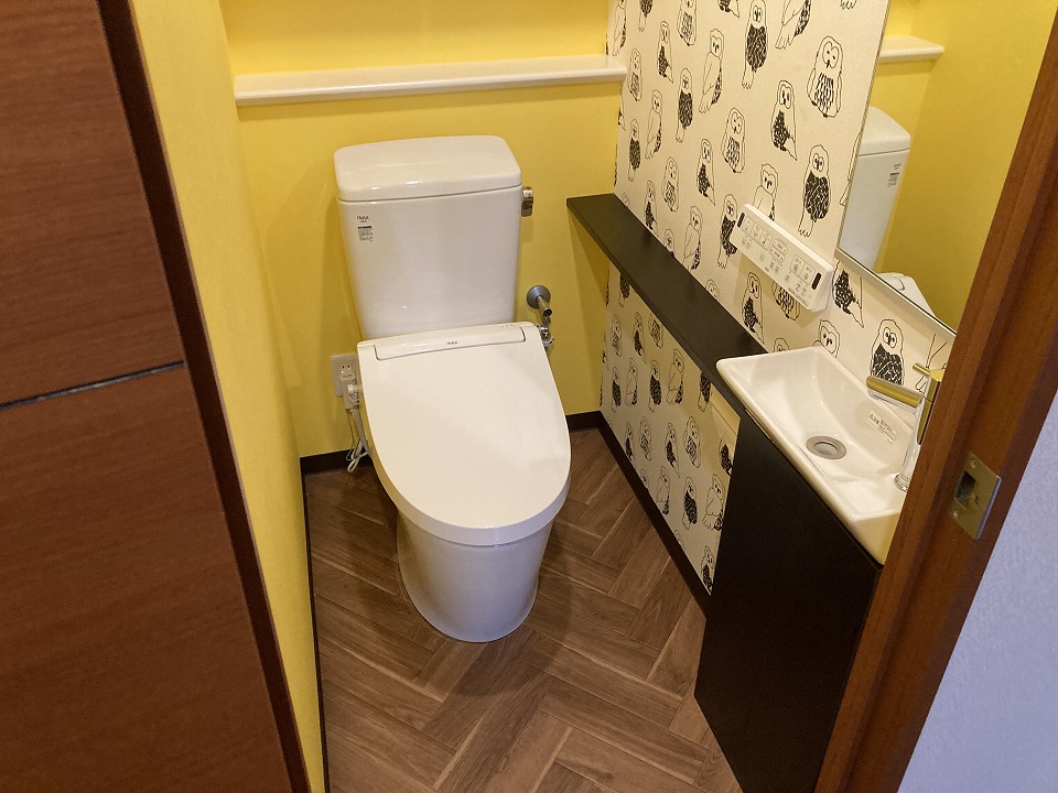 Toilet after construction